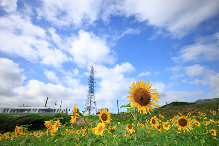 お写ん歩: 検索結果